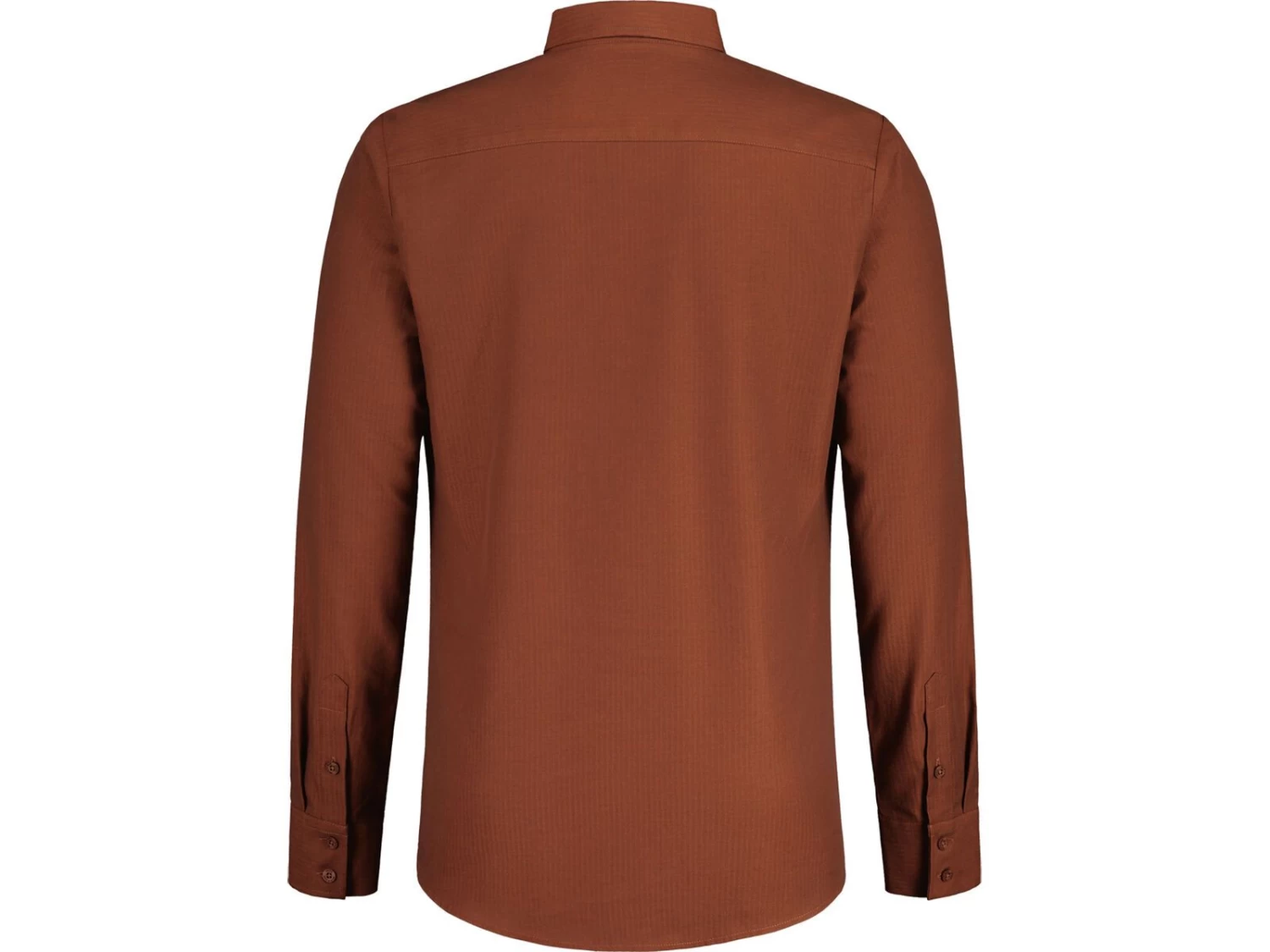 Maloja SalduraM., Chestnut 2 Maloja SalduraM., Chestnut – Bild 2